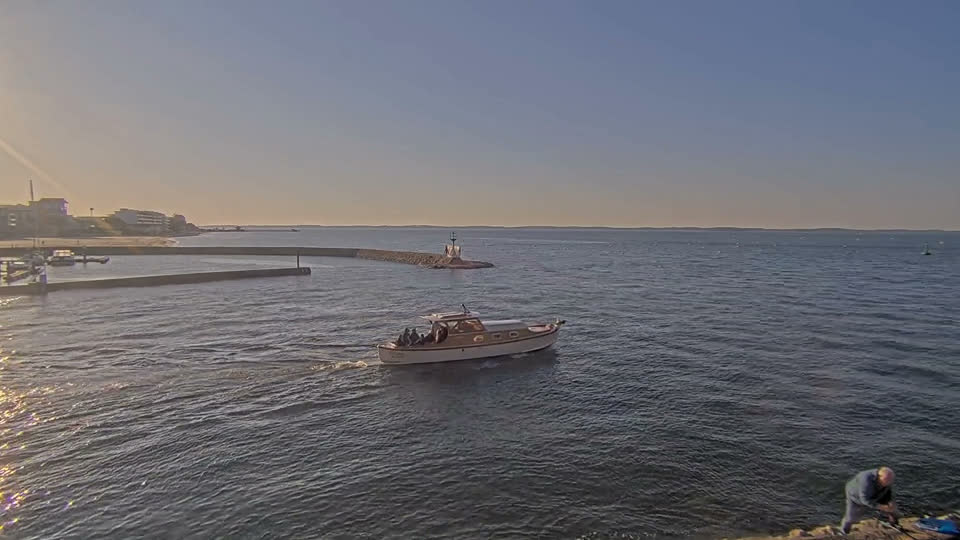 Interface Port Trafic — détection IA en temps réel